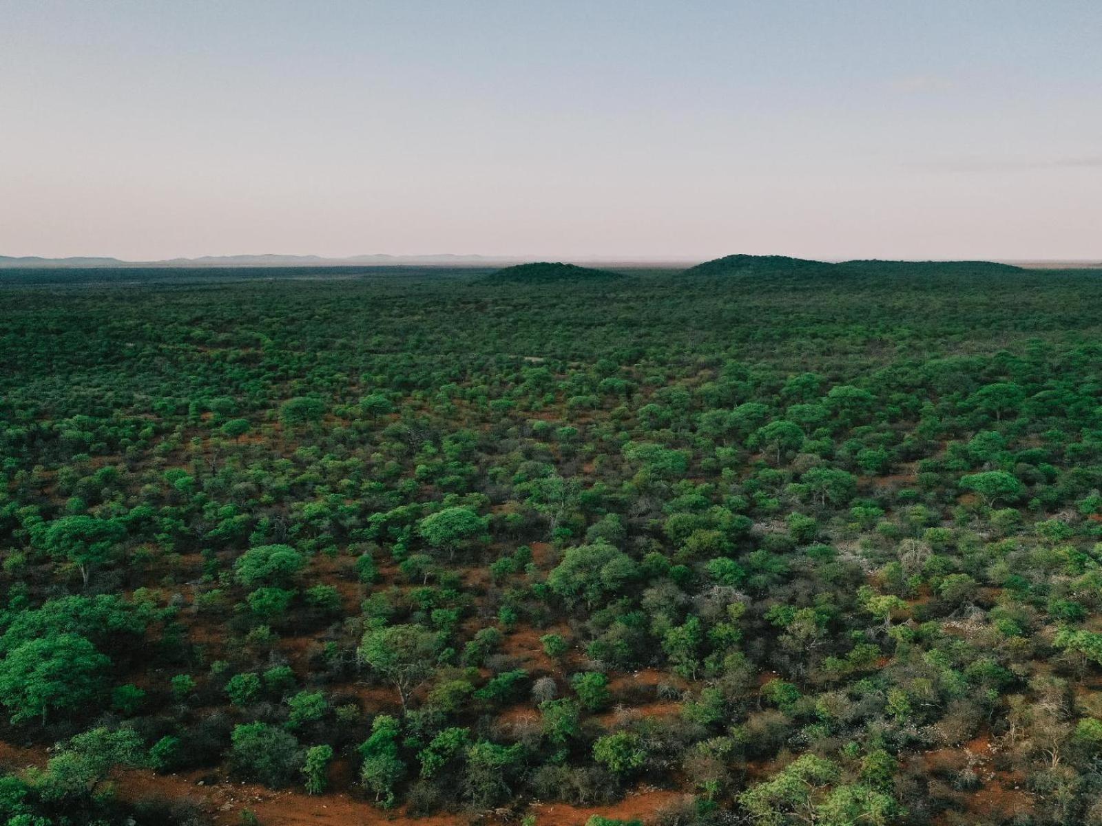 Готель Kifaru Bush Camp Оучо Екстер'єр фото